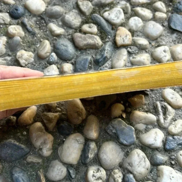 Vintage The Stone Carnation Gothic Pulp Paperback Book Naomi A. Hintze 1972 70s - Picture 4 of 7